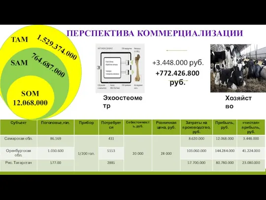 Эхоостеометр Хозяйство +3.448.000 руб. +772.426.800 руб. ПЕРСПЕКТИВА КОММЕРЦИАЛИЗАЦИИ SOM 12.068.000 SAM 764.687.000 TAM 1.529.374.000