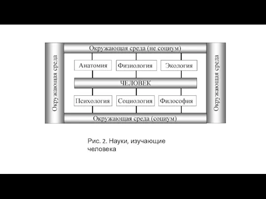 Рис. 2. Науки, изучающие человека