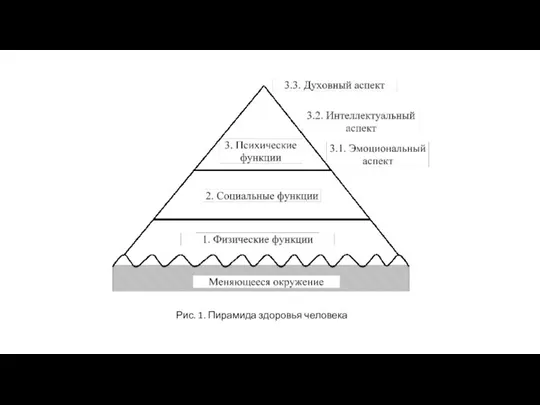 Рис. 1. Пирамида здоровья человека