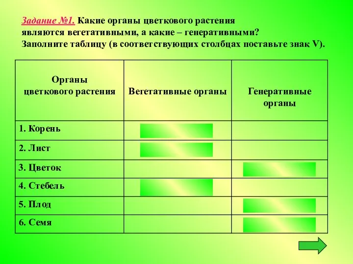 Задание №1. Какие органы цветкового растения являются вегетативными, а какие – генеративными?