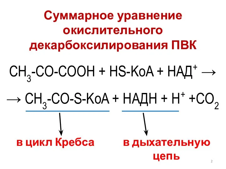 СH3-CО-COOH + HS-KoA + НАД+ → → СH3-CО-S-KoA + НАДН + Н+