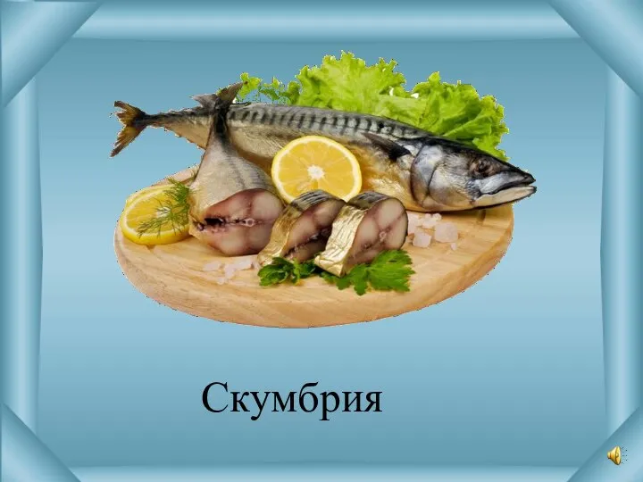 Скумбрия