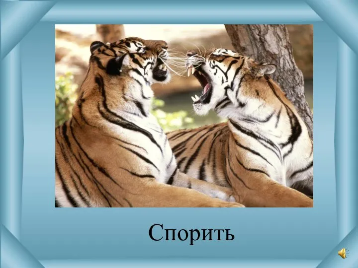 Спорить