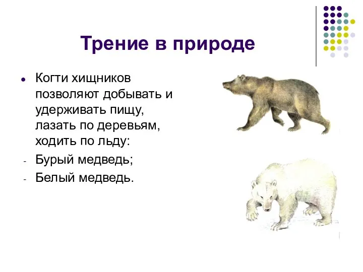 Трение в природе Когти хищников позволяют добывать и удерживать пищу, лазать по