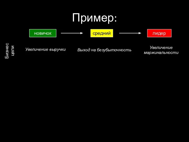 Пример: новичок средний лидер Бизнес цели Увеличение выручки Увеличение маржинальности Выход на безубыточность