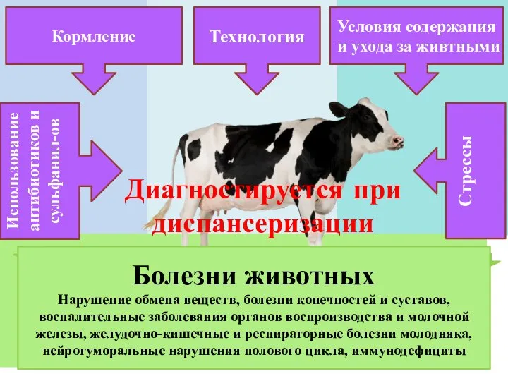 Технология Использование антибиотиков и сульфанил-ов Условия содержания и ухода за живтными Кормление