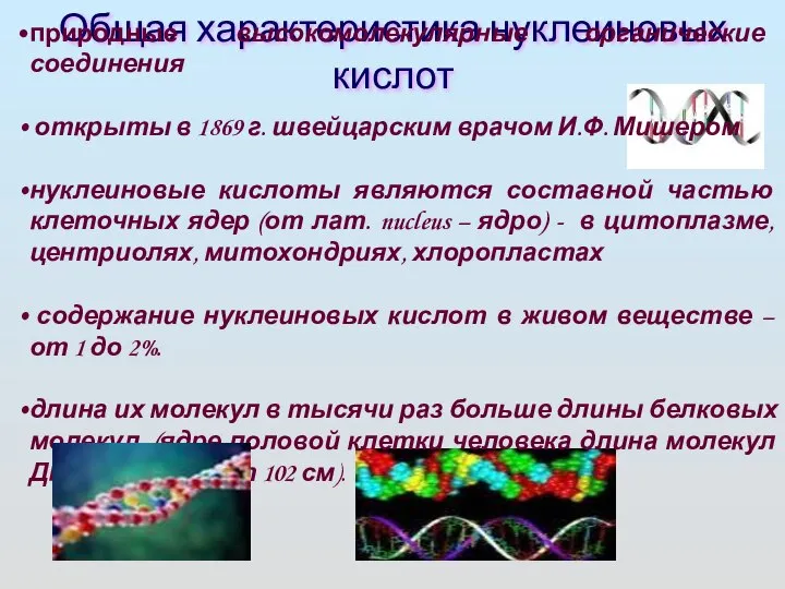 Общая характеристика нуклеиновых кислот природные высокомолекулярные органические соединения открыты в 1869 г.