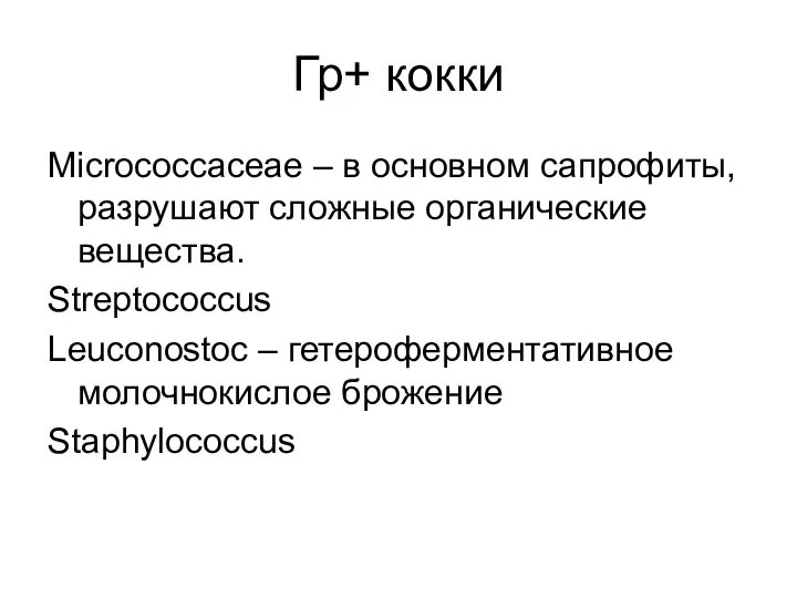 Гр+ кокки Micrococcaceae – в основном сапрофиты, разрушают сложные органические вещества. Streptococcus