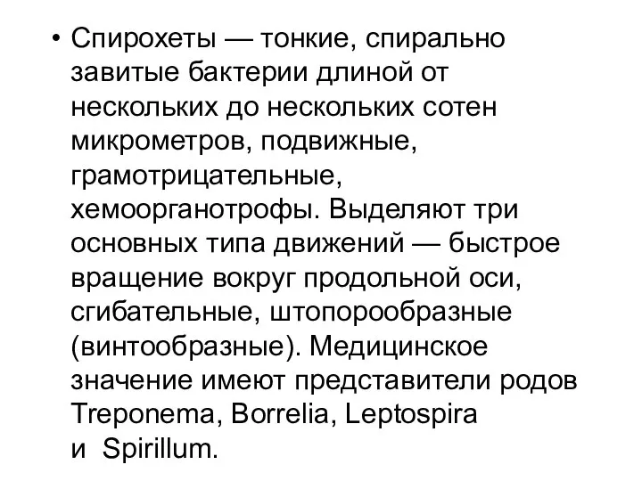 Спирохеты — тонкие, спирально завитые бактерии длиной от нескольких до нескольких сотен