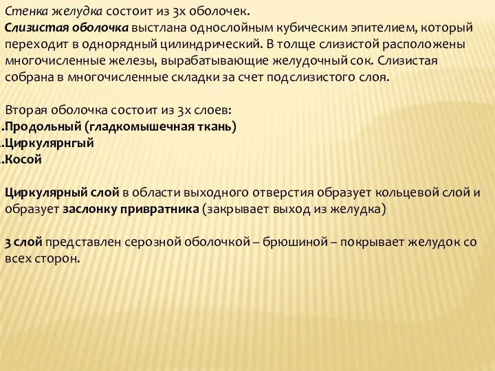 Стенка желудка состоит из 3х оболочек. Слизистая оболочка выстлана однослойным кубическим эпителием,