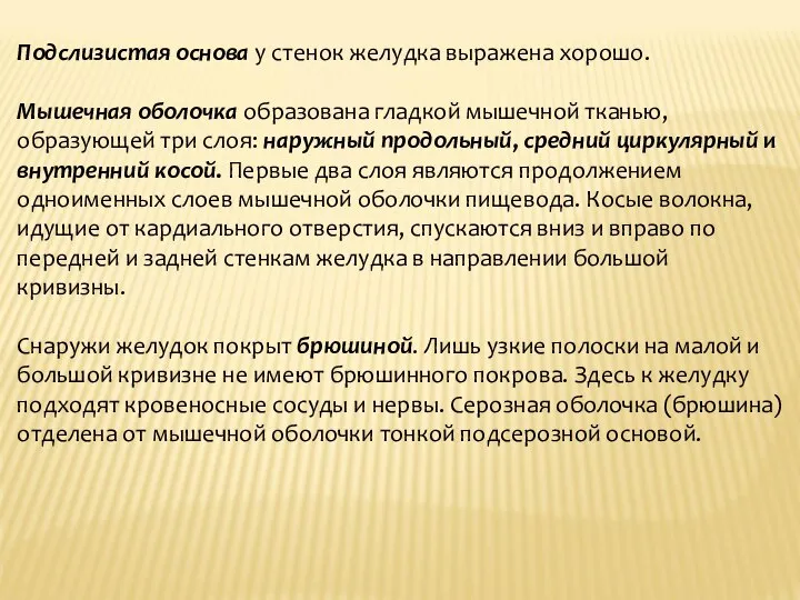 Подслизистая основа у стенок желудка выражена хорошо. Мышечная оболочка образована гладкой мышечной