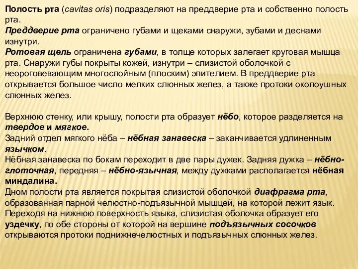 Полость рта (cavitas oris) подразделяют на преддверие рта и собственно полость рта.