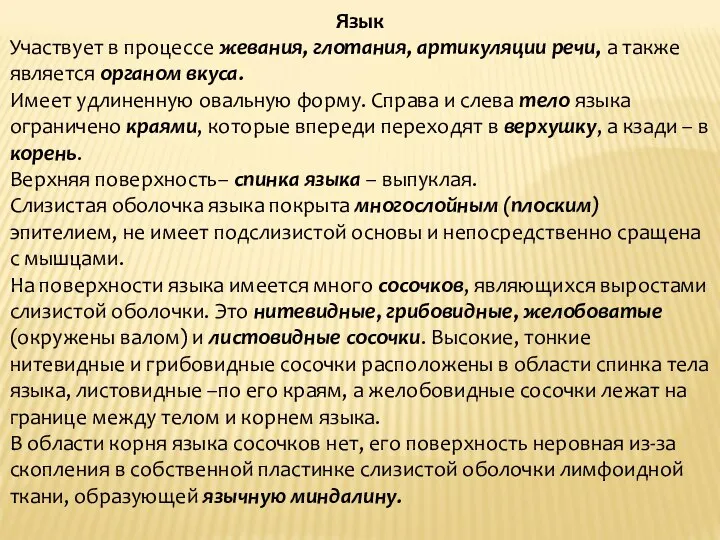 Язык Участвует в процессе жевания, глотания, артикуляции речи, а также является органом