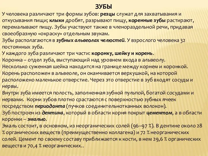 ЗУБЫ У человека различают три формы зубов: резцы служат для захватывания и