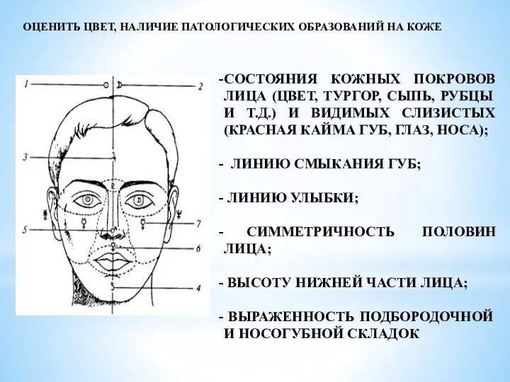 ОЦЕНИТЬ ЦВЕТ, НАЛИЧИЕ ПАТОЛОГИЧЕСКИХ ОБРАЗОВАНИЙ НА КОЖЕ СОСТОЯНИЯ КОЖНЫХ ПОКРОВОВ ЛИЦА (ЦВЕТ,