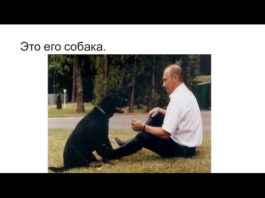 Это его собака.