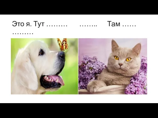 Это я. Тут ……… …….. Там …… ………