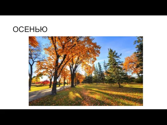 ОСЕНЬЮ