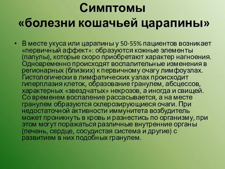 Симптомы «болезни кошачьей царапины» В месте укуса или царапины у 50-55% пациентов