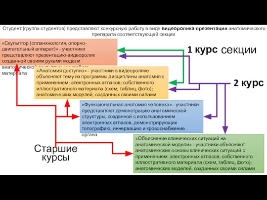 «Скульптор (спланхнология, опорно-двигательный аппарат)» - участники представляют презентацию-видеоролик созданной своими руками модели