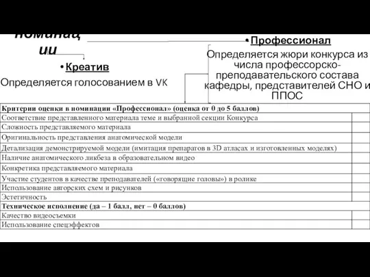 номинации Креатив Определяется голосованием в VK Профессионал Определяется жюри конкурса из числа