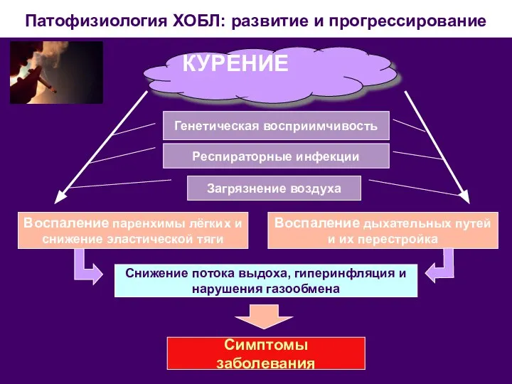 Патофизиология ХОБЛ: развитие и прогрессирование КУРЕНИЕ Генетическая восприимчивость Респираторные инфекции Загрязнение воздуха