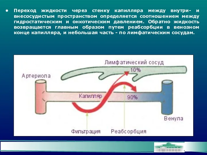 Переход жидкости через стенку капилляра между внутри- и внесосудистым пространством определяется соотношением