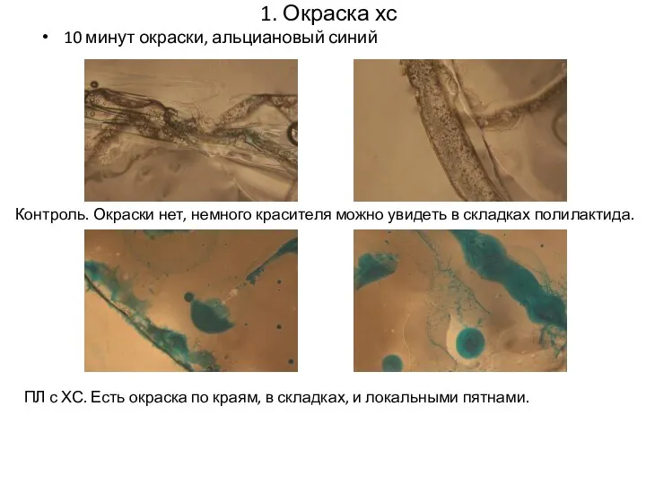 1. Окраска хс 10 минут окраски, альциановый синий Контроль. Окраски нет, немного