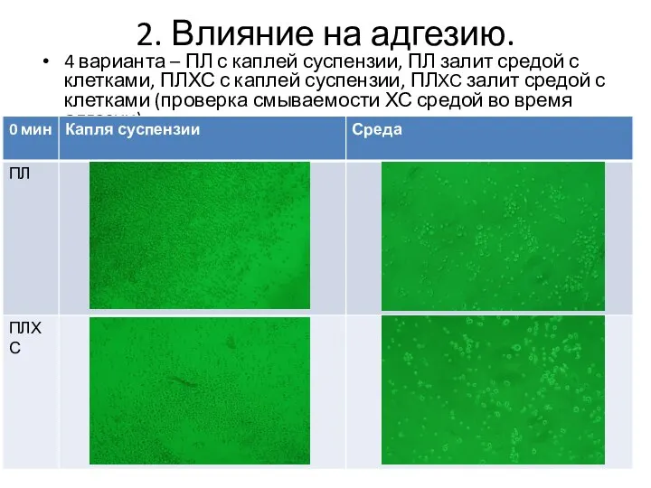 2. Влияние на адгезию. 4 варианта – ПЛ с каплей суспензии, ПЛ