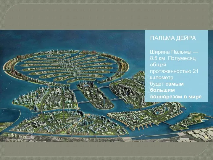 ПАЛЬМА ДЕЙРА Ширина Пальмы — 8.5 км. Полумесяц общей протяженностью 21 километр