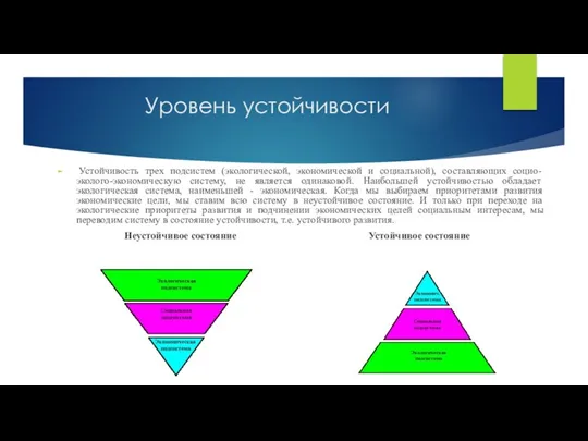 Уровень устойчивости Устойчивость трех подсистем (экологической, экономической и социальной), составляющих социо-эколого-экономическую систему,