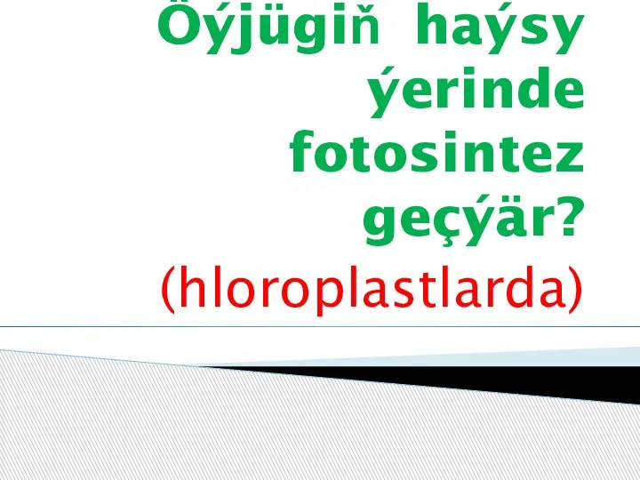 Öýjügiň haýsy ýerinde fotosintez geçýär? (hloroplastlarda)