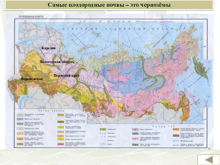 Самые плодородные почвы – это чернозёмы Карелия Вологодская область Пермский край Воронежская