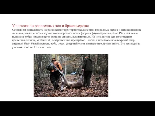 Уничтожение заповедных зон и браконьерство Создание и деятельность на российской территории больше