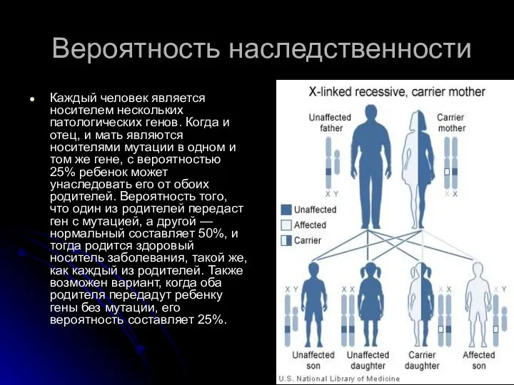 Вероятность наследственности Каждый человек является носителем нескольких патологических генов. Когда и отец,