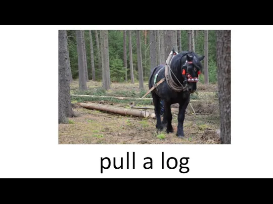 pull a log