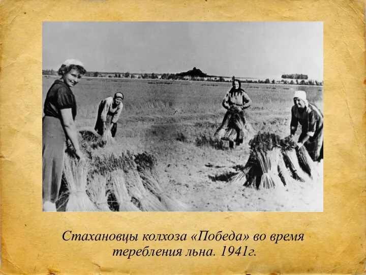 Стахановцы колхоза «Победа» во время теребления льна. 1941г.