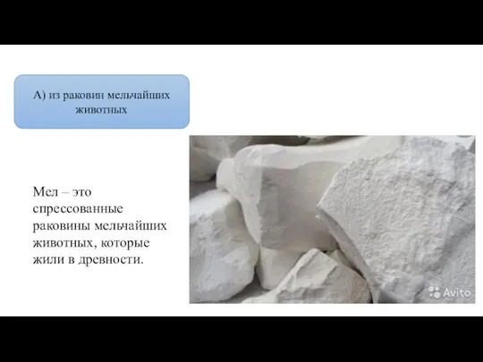 А) из раковин мельчайших животных Мел – это спрессованные раковины мельчайших животных, которые жили в древности.