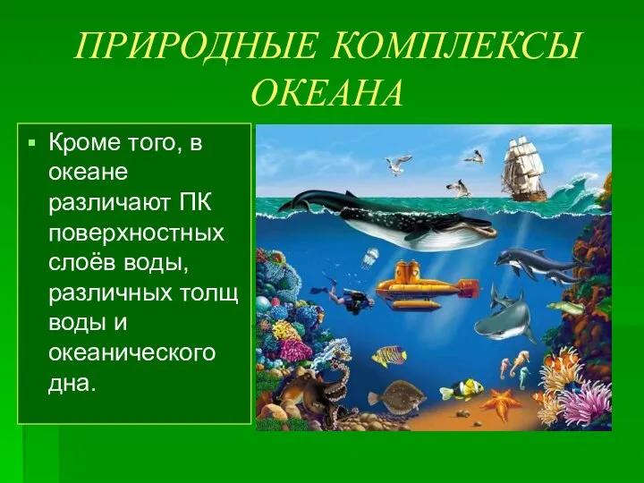 ПРИРОДНЫЕ КОМПЛЕКСЫ ОКЕАНА Кроме того, в океане различают ПК поверхностных слоёв воды,