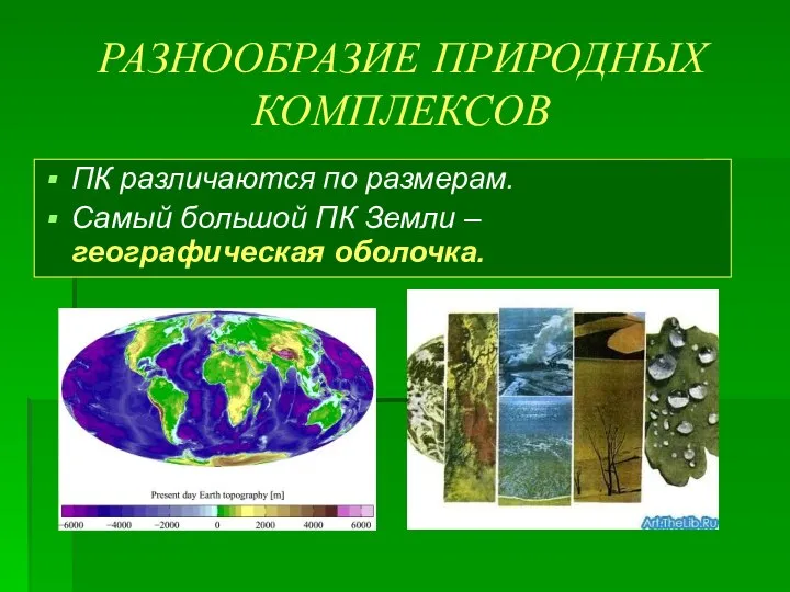 РАЗНООБРАЗИЕ ПРИРОДНЫХ КОМПЛЕКСОВ ПК различаются по размерам. Самый большой ПК Земли – географическая оболочка.