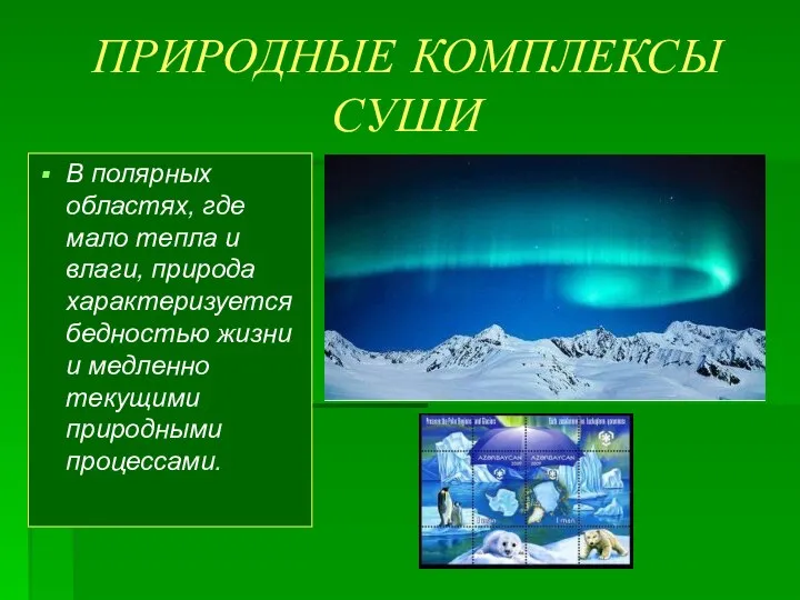 ПРИРОДНЫЕ КОМПЛЕКСЫ СУШИ В полярных областях, где мало тепла и влаги, природа