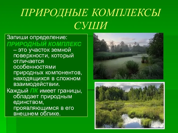 ПРИРОДНЫЕ КОМПЛЕКСЫ СУШИ Запиши определение: ПРИРОДНЫЙ КОМПЛЕКС – это участок земной поверхности,