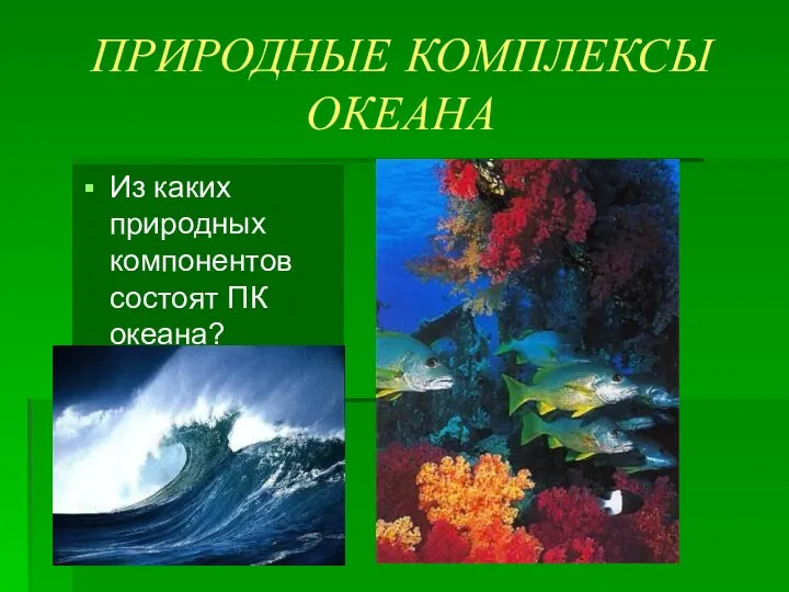 ПРИРОДНЫЕ КОМПЛЕКСЫ ОКЕАНА Из каких природных компонентов состоят ПК океана?