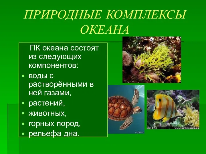 ПРИРОДНЫЕ КОМПЛЕКСЫ ОКЕАНА ПК океана состоят из следующих компонентов: воды с растворёнными