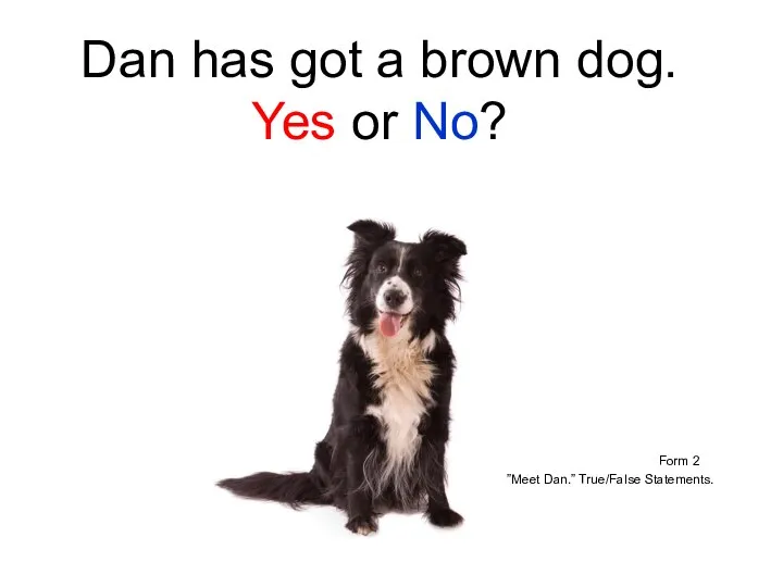 Dan has got a brown dog. Yes or No? Form 2 ”Meet Dan.” True/False Statements.