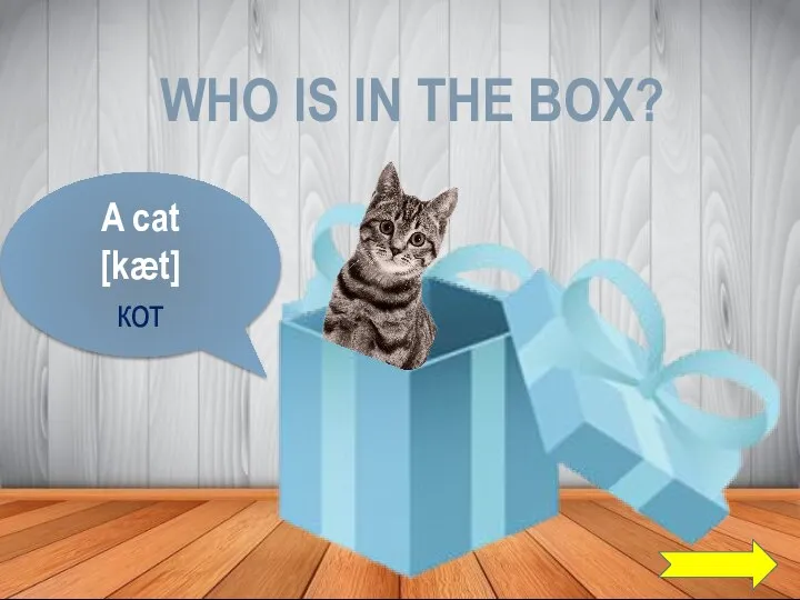 WHO IS IN THE BOX? A cat [kæt] кот