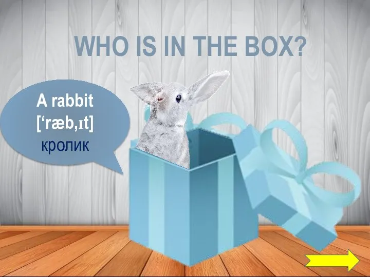 WHO IS IN THE BOX? A rabbit [‘ræb,ɪt] кролик