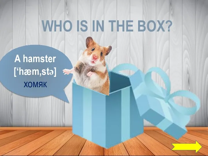 WHO IS IN THE BOX? A hamster [‘hæm,stə] хомяк