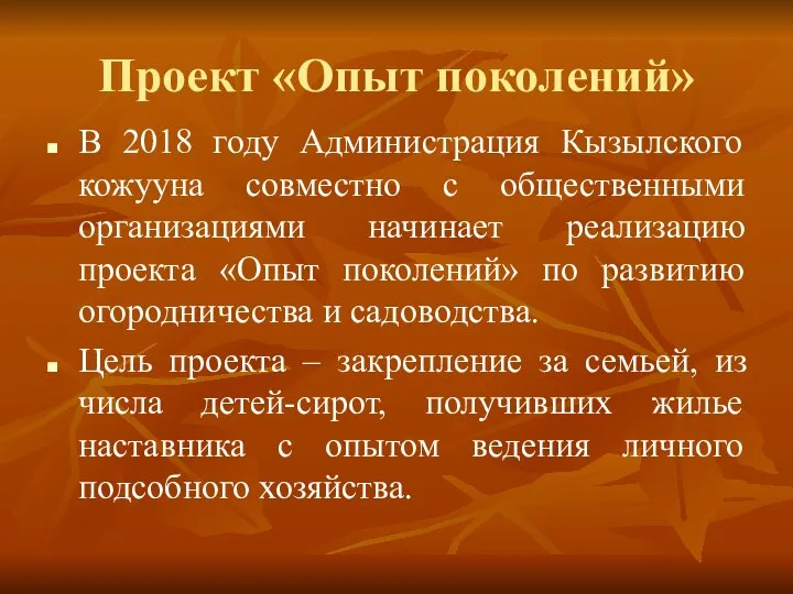 Проект «Опыт поколений» В 2018 году Администрация Кызылского кожууна совместно с общественными