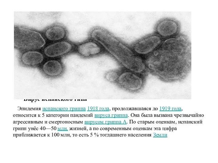 Вирус испанского типа Эпидемия испанского гриппа 1918 года, продолжавшаяся до 1919 года,